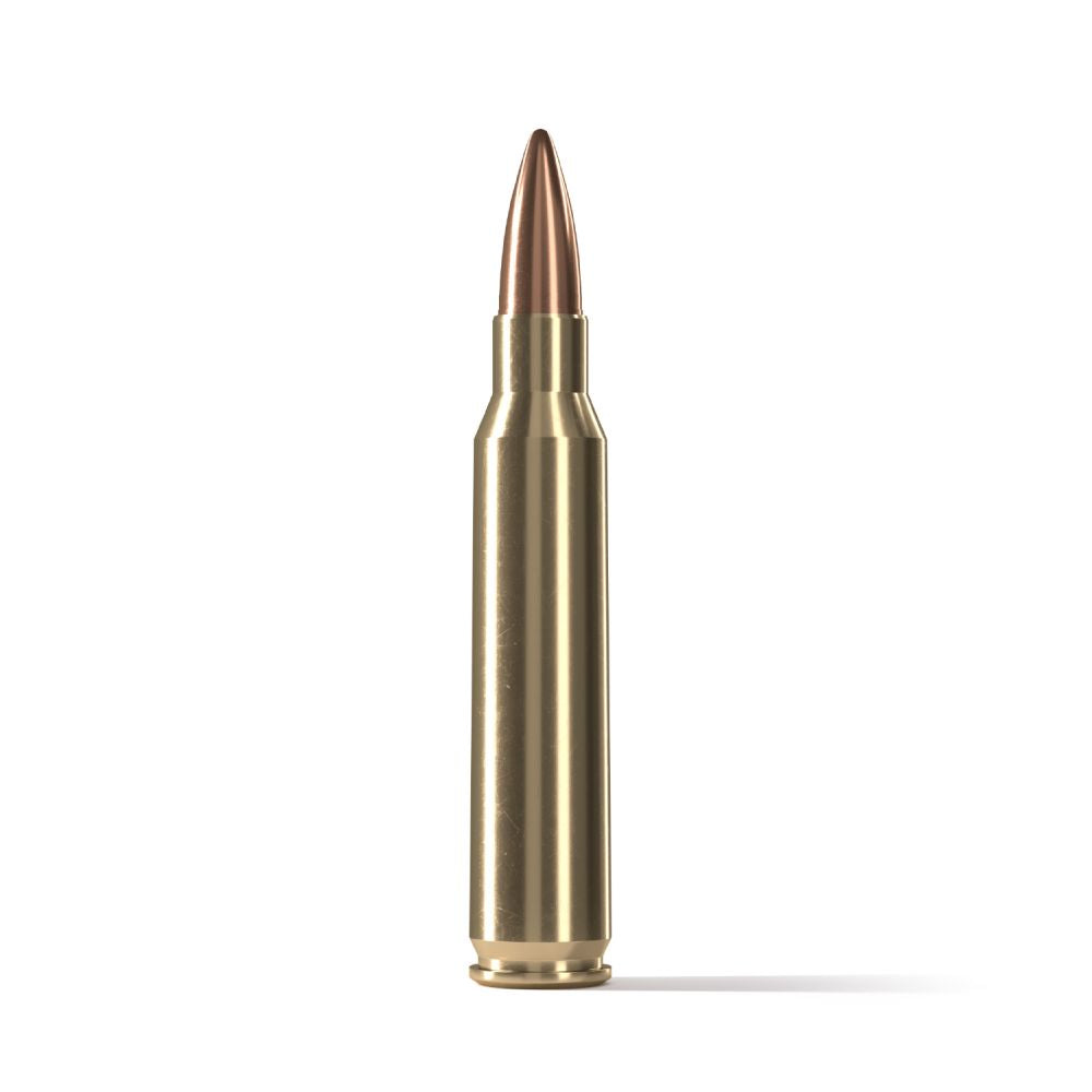 .223 REM