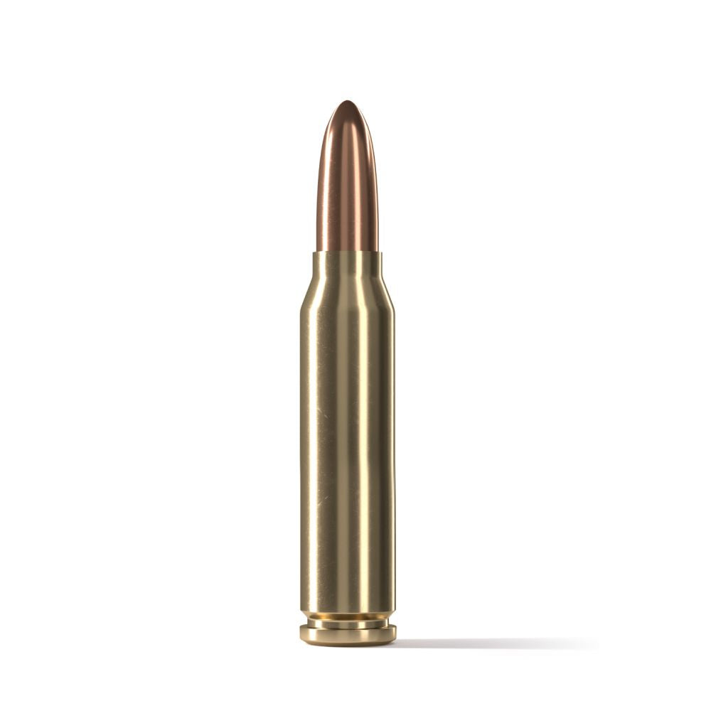 .308 WIN.
